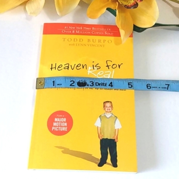 Todd Burpo HEAVEN IS FOR REAL PAPERBACK BOOK - Picture 10 of 11
